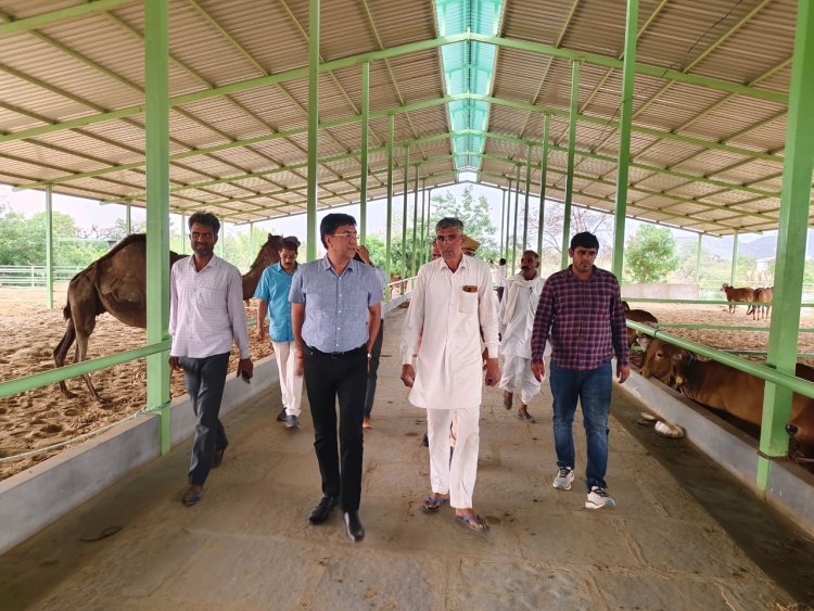 दूदू : जिला कलक्टर ने किया मौजमाबाद तहसील के उन्नत कृषि फार्म का निरीक्षण  