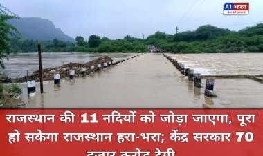 जयपुर: राजस्थान की 11 नदियों को जोड़ा जाएगा, पूरा हो सकेगा राजस्थान हरा-भरा; केंद्र सरकार 70 हजार करोड़ देगी