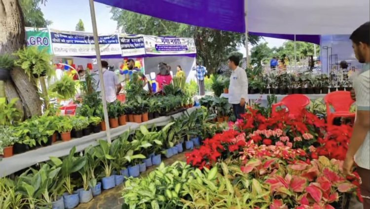 जवाहर कला केन्द्र में तीन दिवसीय गार्डन बाजार कल से